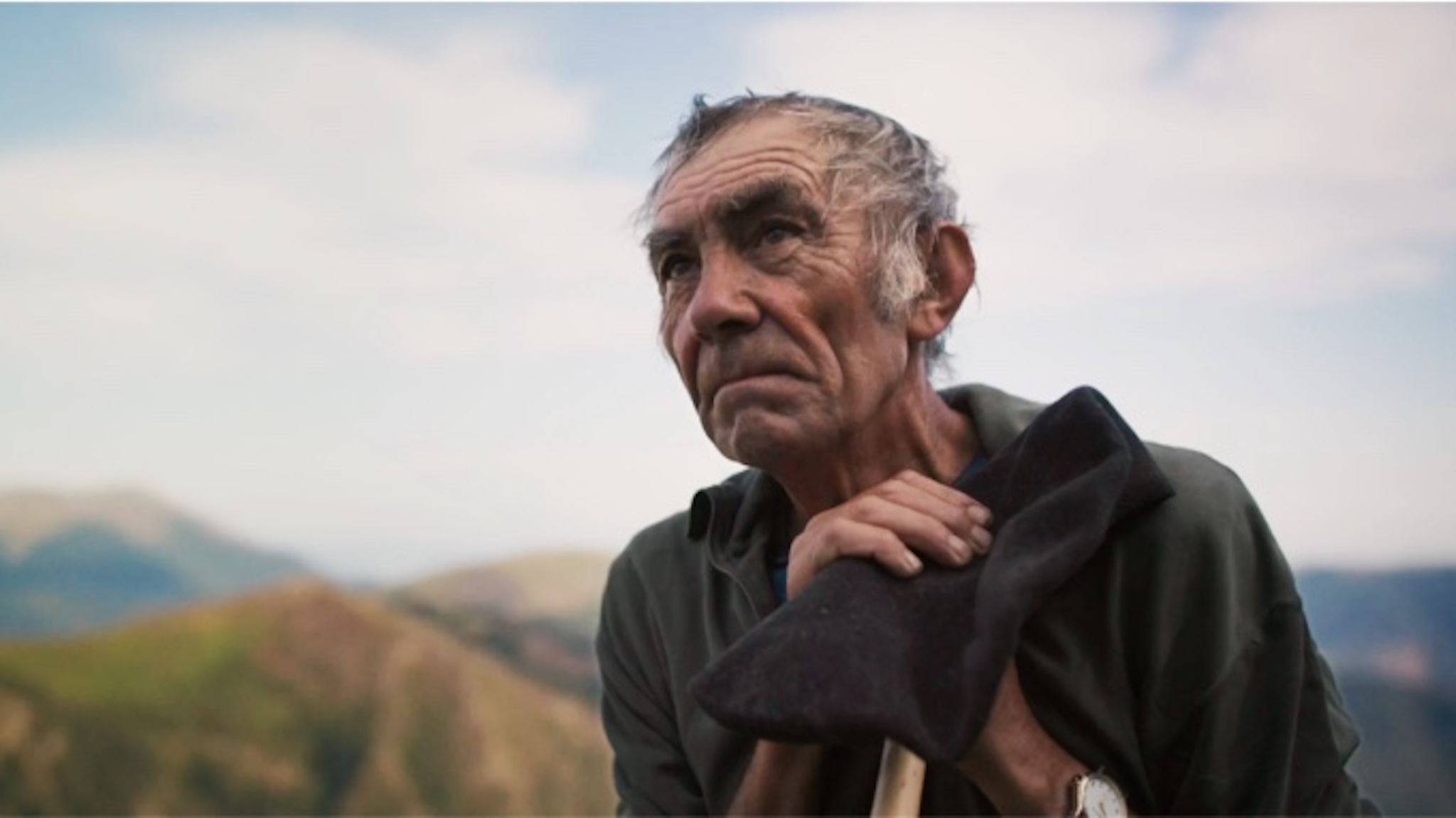 The Shepherd and The Bear Still