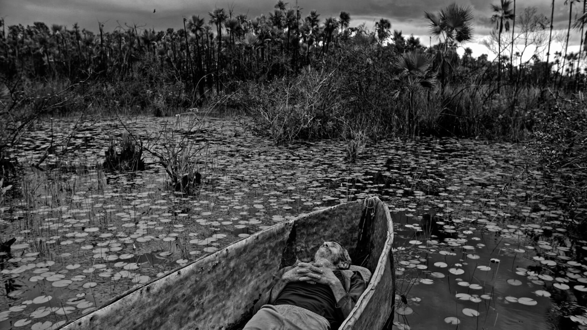 To the West in Zapata Still